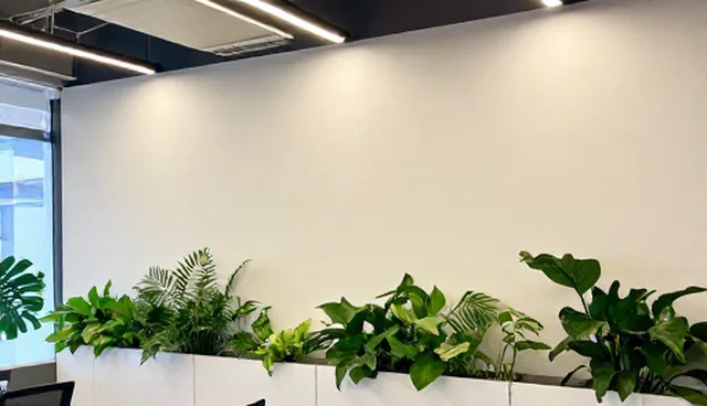 数据处理流程优化,从数据治理到信息整合
